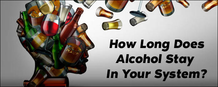 how long does alcohol stay in your system