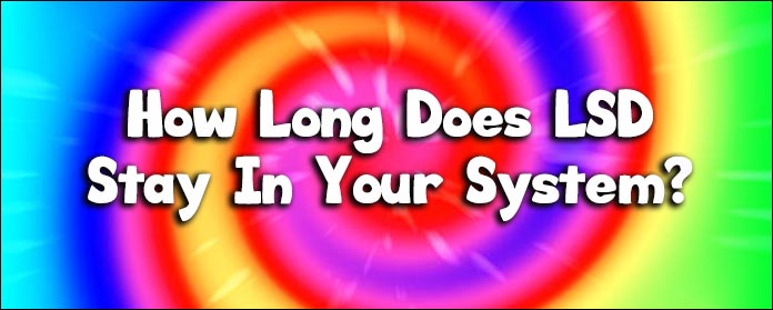 how long does lsd stay in your system